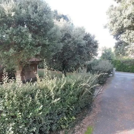 House Le Chalet Du Dauphin 3 Labenne